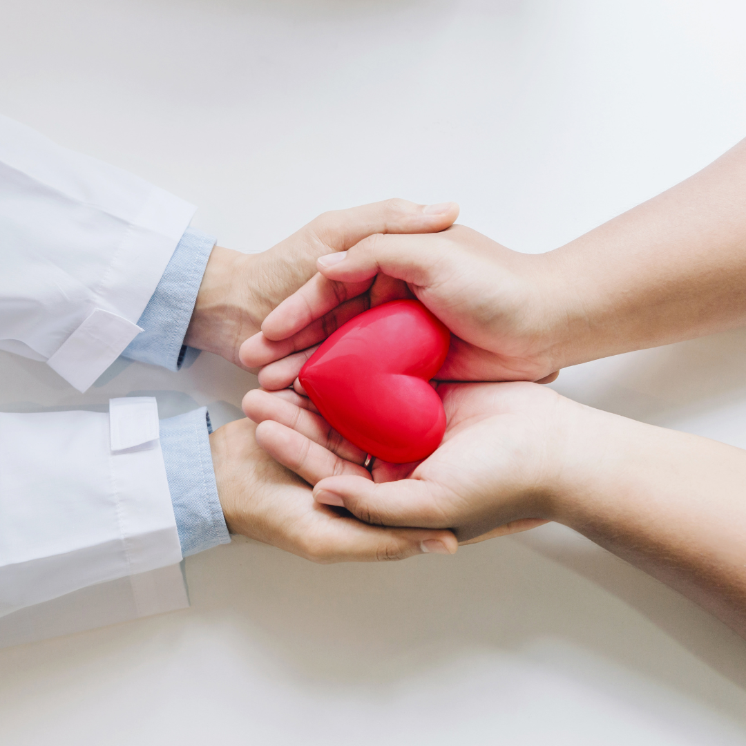 doctor and patient hands holding heart